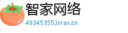 智家网络